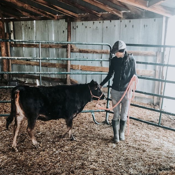 Home | Heritage Pines Farm