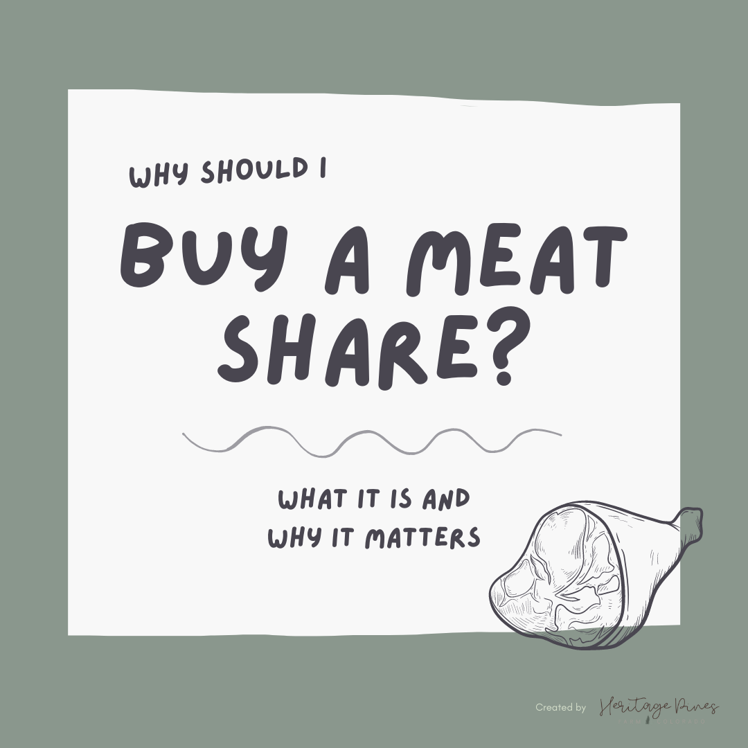 Why Should I Buy a Meat Share