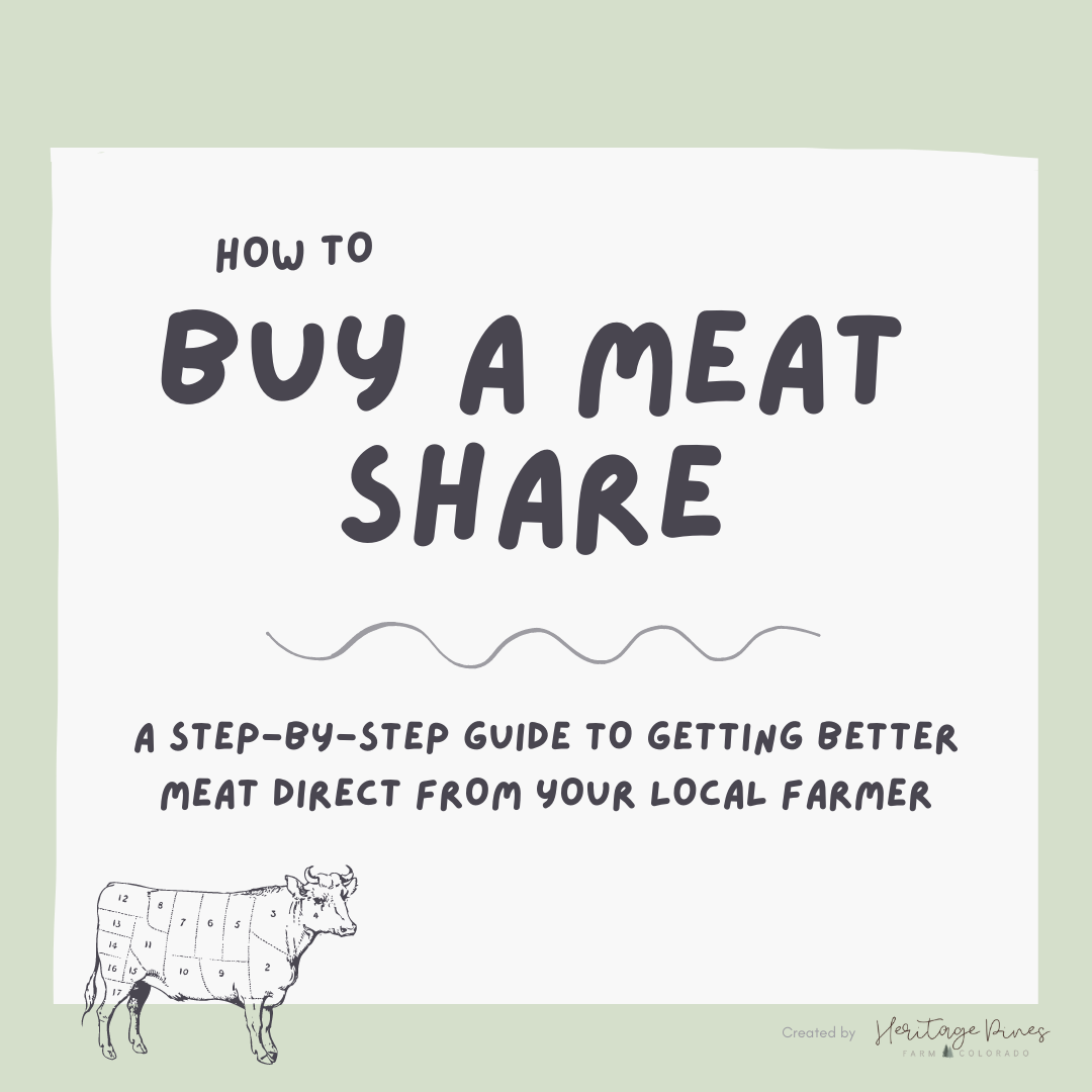 How to Buy a Meat Share